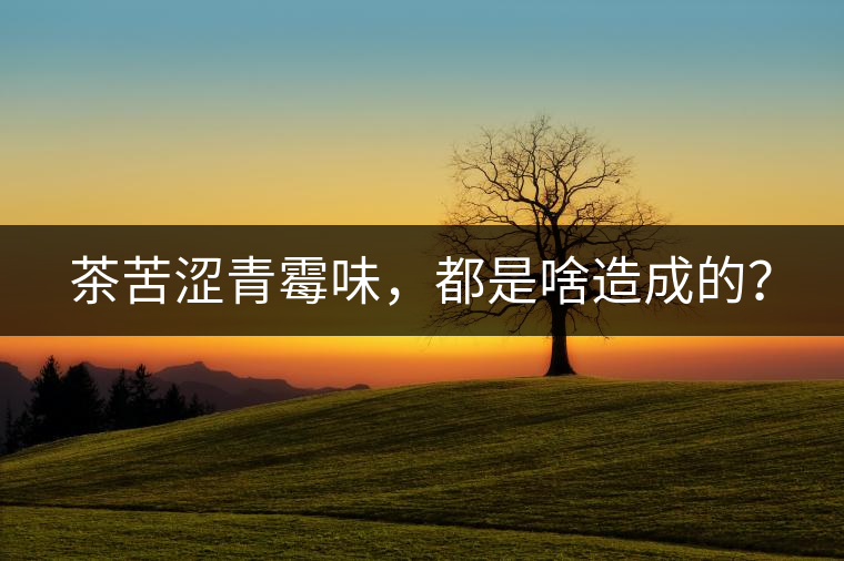 茶苦澀青霉味，都是啥造成的？