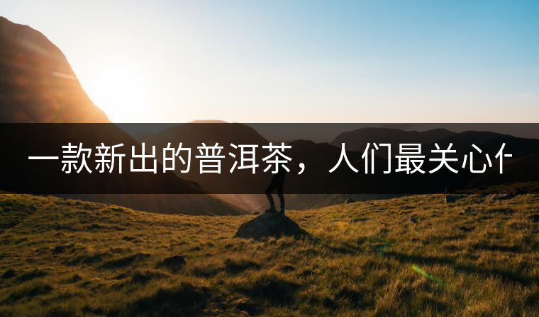 一款新出的普洱茶，人們最關(guān)心什么?