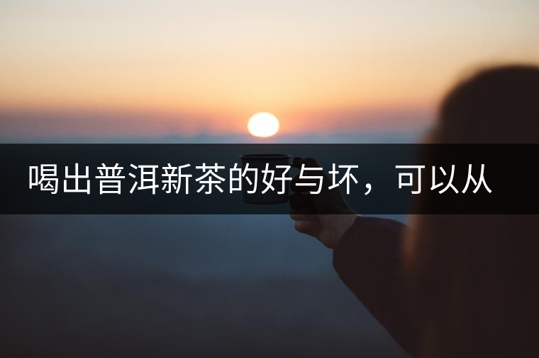 喝出普洱新茶的好與壞，可以從這五點(diǎn)出發(fā)