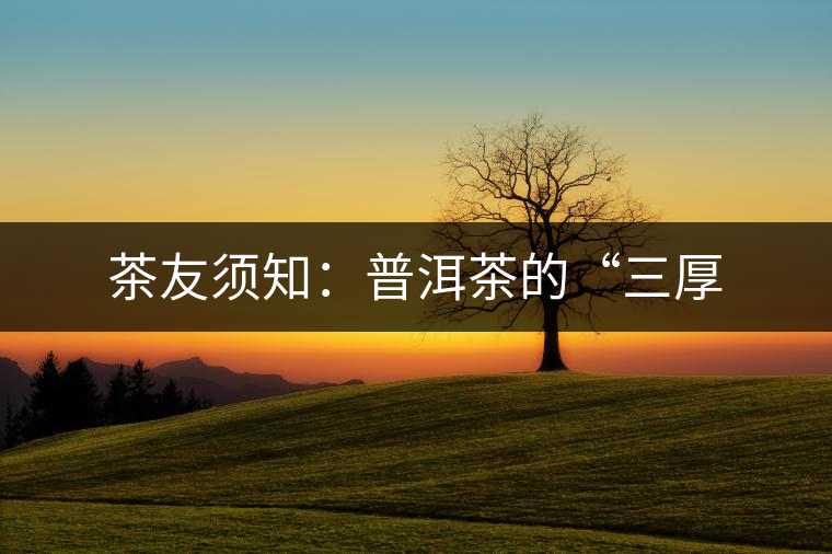 茶友須知：普洱茶的“三厚