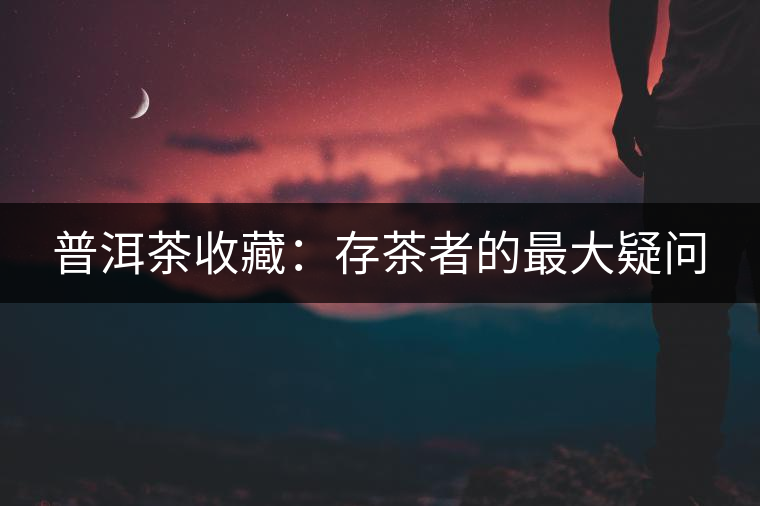 普洱茶收藏:存茶者的最大疑問(wèn) 普洱茶收藏:存茶者的最大疑問(wèn)