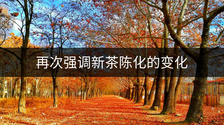 再次強調(diào)新茶陳化的變化