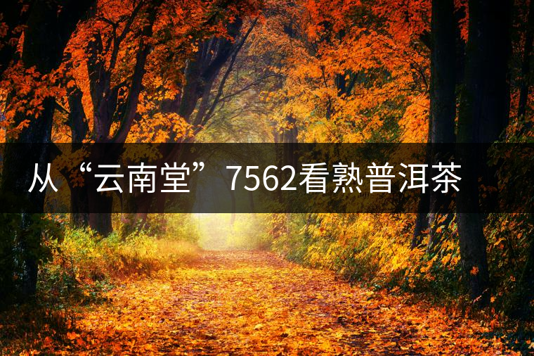 從“云南堂”7562看熟普洱茶發(fā)酵度的變遷 從“云南堂”7562看熟普洱茶發(fā)酵度的變遷