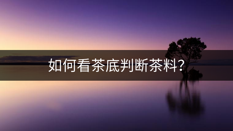 如何看茶底判斷茶料？
