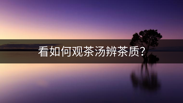 看如何觀茶湯辨茶質？