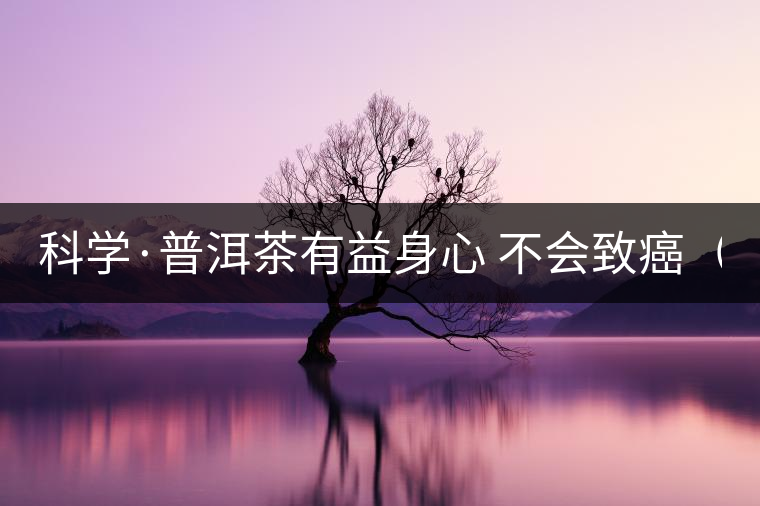 科學(xué)·普洱茶有益身心 不會致癌（2）