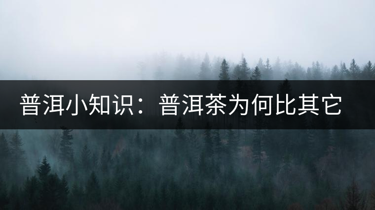 普洱小知識(shí)：普洱茶為何比其它茶葉耐泡？