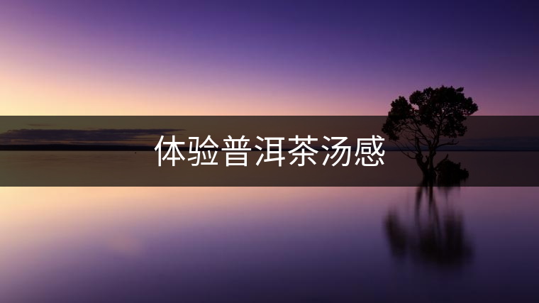 體驗(yàn)普洱茶湯感