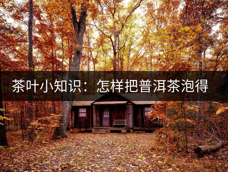 茶葉小知識:怎樣把普洱茶泡得更有味 茶葉小知識:怎樣把普洱茶泡得更有味