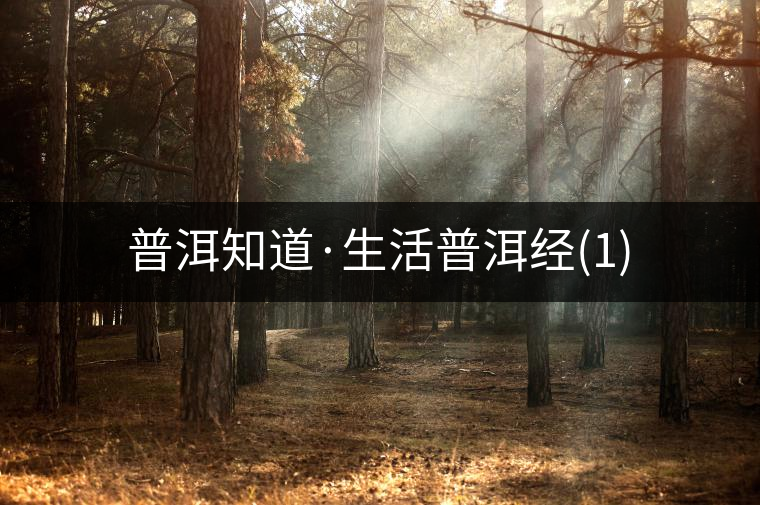 普洱知道·生活普洱經(1) 普洱知道·生活普洱經(1)