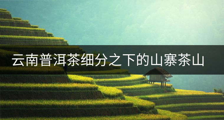 云南普洱茶細(xì)分之下的山寨茶山頭茶趨勢(shì) 云南普洱茶細(xì)分之下的山寨茶山頭茶趨勢(shì)