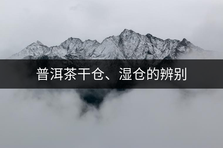 普洱茶干倉、濕倉的辨別