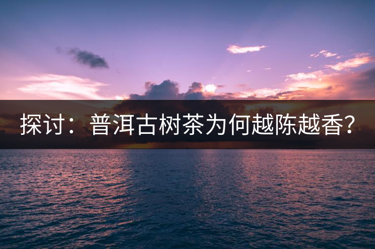 探討：普洱古樹茶為何越陳越香？