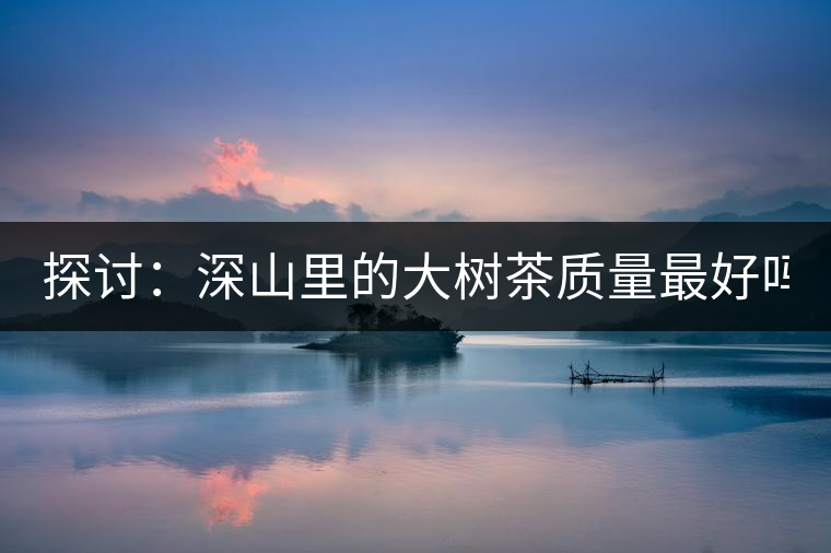 探討：深山里的大樹茶質量最好嗎？