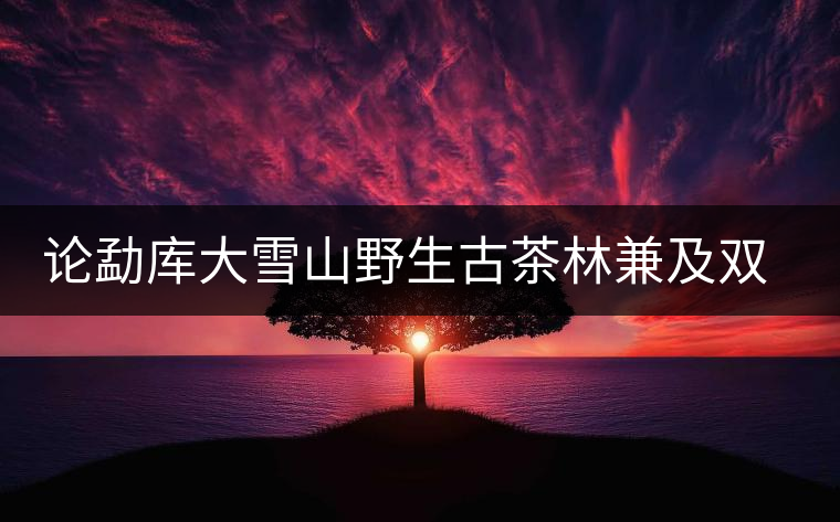 論勐庫大雪山野生古茶林兼及雙江勐庫茶 論勐庫大雪山野生古茶林兼及雙江勐庫茶
