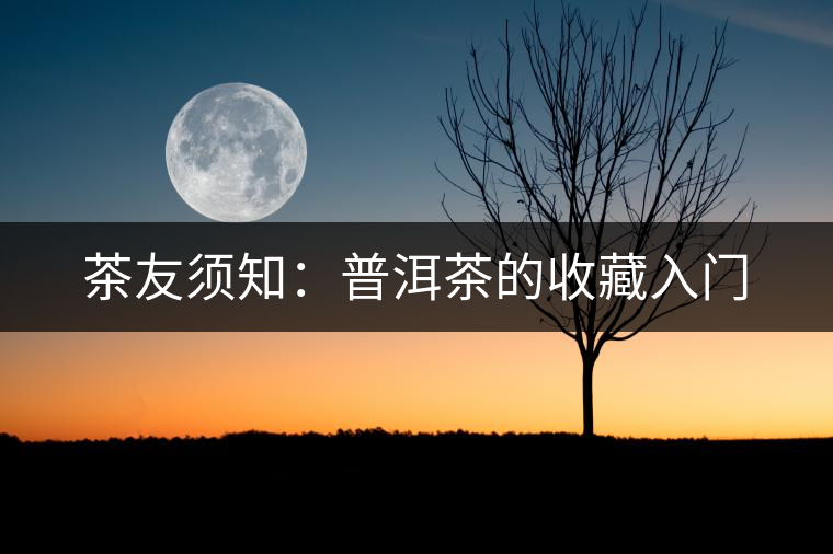 茶友須知:普洱茶的收藏入門 茶友須知:普洱茶的收藏入門