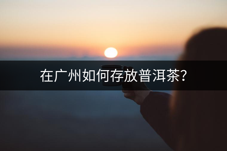 在廣州如何存放普洱茶？