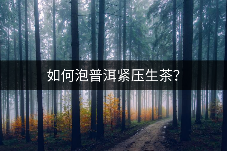 如何泡普洱緊壓生茶？