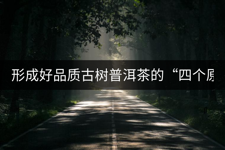 形成好品質(zhì)古樹普洱茶的“四個(gè)原則”