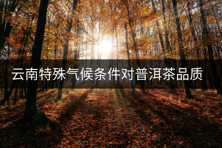 云南特殊氣候條件對普洱茶品質(zhì)的影響 云南特殊氣候條件對普洱茶品質(zhì)的影響