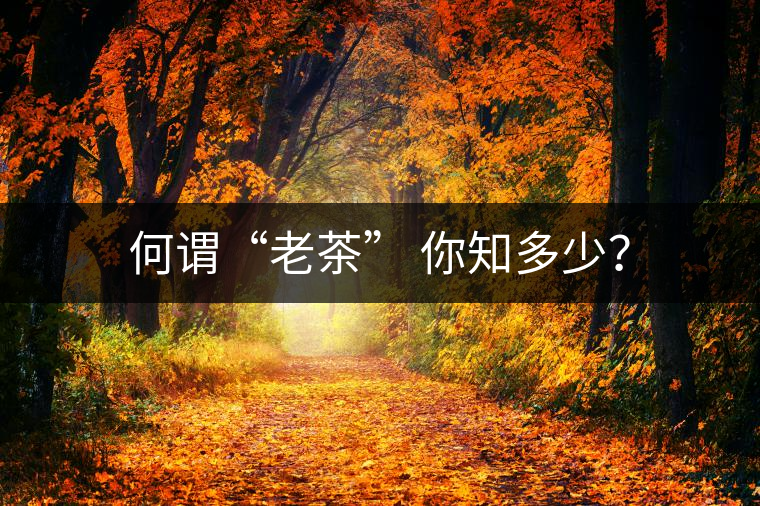 何謂“老茶” 你知多少？