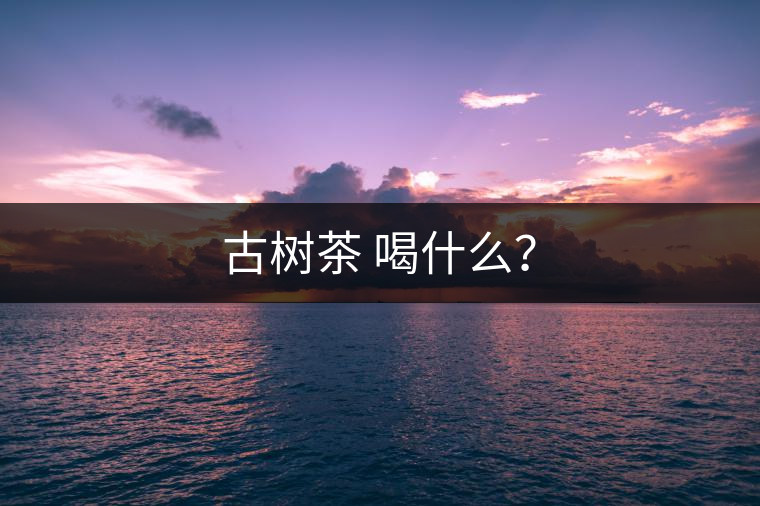 古樹茶 喝什么？