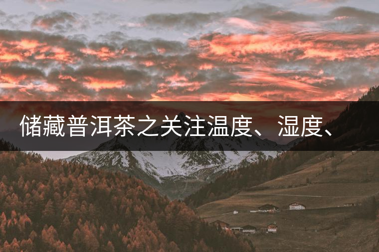 儲藏普洱茶之關注溫度、濕度、異味因素影響
