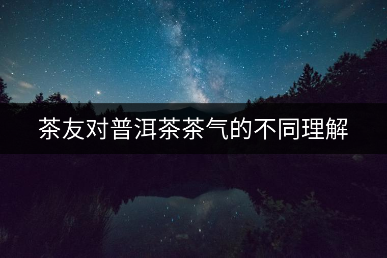 茶友對普洱茶茶氣的不同理解 茶友對普洱茶茶氣的不同理解
