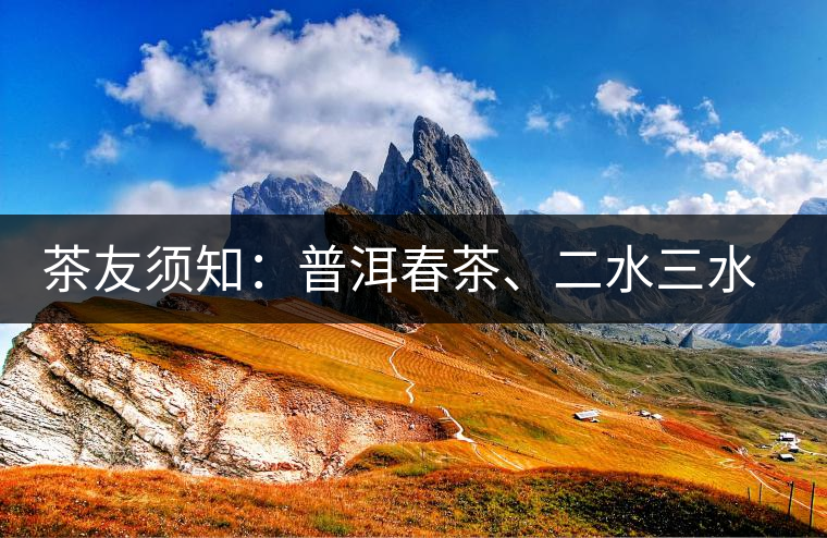 茶友須知：普洱春茶、二水三水茶和谷花茶