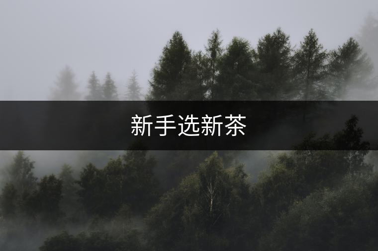 新手選新茶 新手選新茶