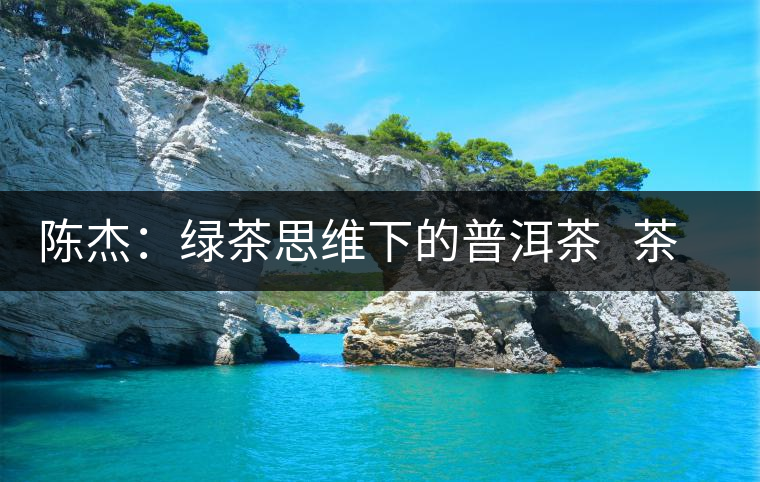 陳杰:綠茶思維下的普洱茶 茶業(yè)復興 陳杰:綠茶思維下的普洱茶 茶業(yè)復興