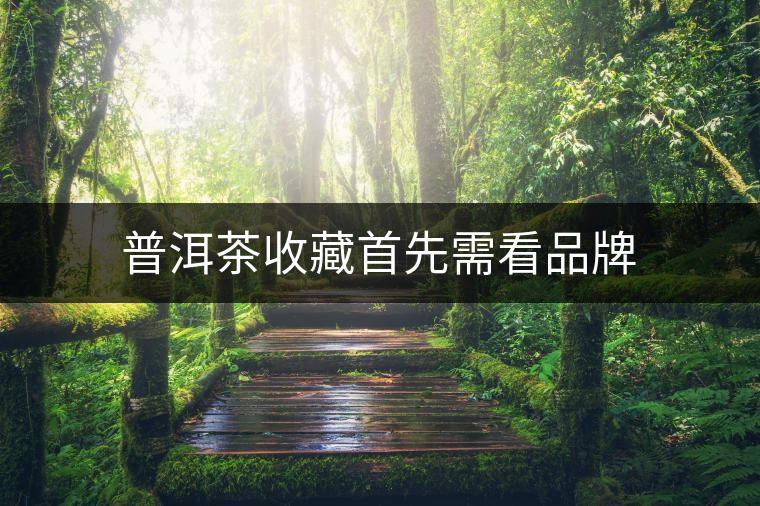 普洱茶收藏首先需看品牌 普洱茶收藏首先需看品牌