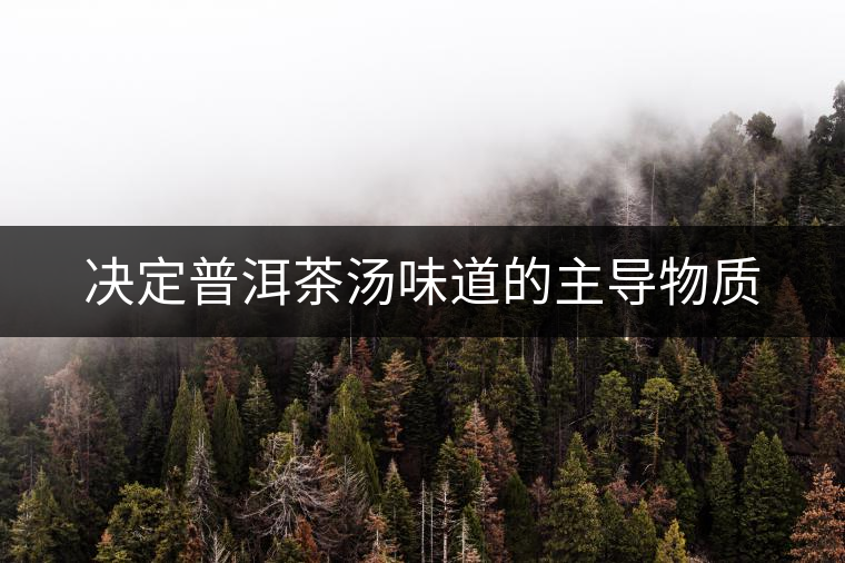 決定普洱茶湯味道的主導(dǎo)物質(zhì) 決定普洱茶湯味道的主導(dǎo)物質(zhì)