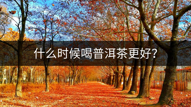 什么時(shí)候喝普洱茶更好？