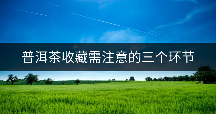 普洱茶收藏需注意的三個環(huán)節(jié) 普洱茶收藏需注意的三個環(huán)節(jié)
