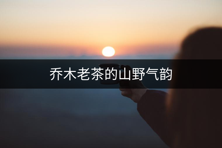 喬木老茶的山野氣韻 喬木老茶的山野氣韻