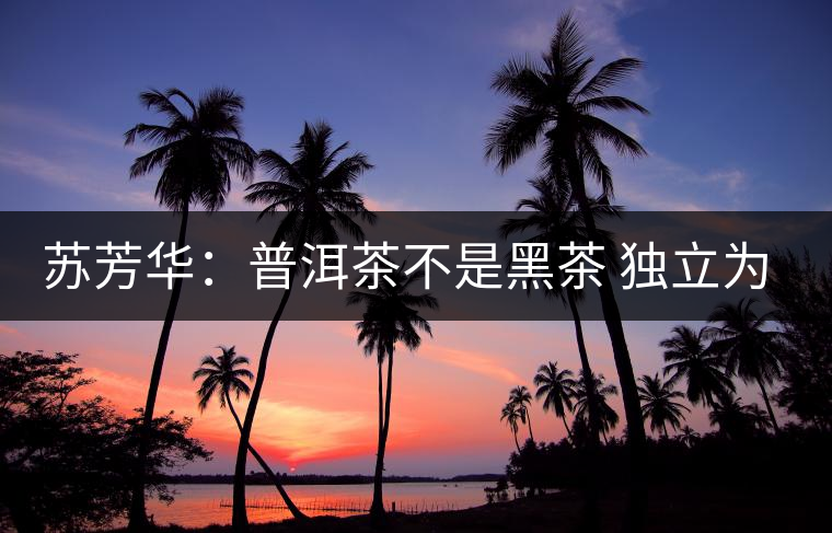 蘇芳華:普洱茶不是黑茶 獨立為普洱茶類 蘇芳華:普洱茶不是黑茶 獨立為普洱茶類
