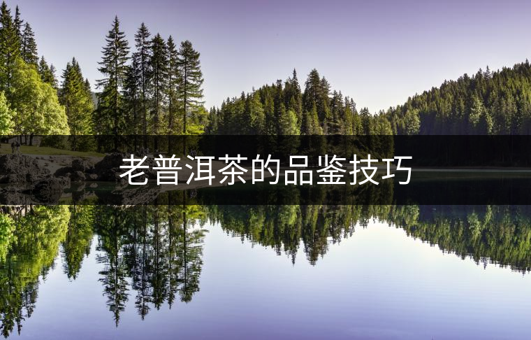 老普洱茶的品鑒技巧 老普洱茶的品鑒技巧