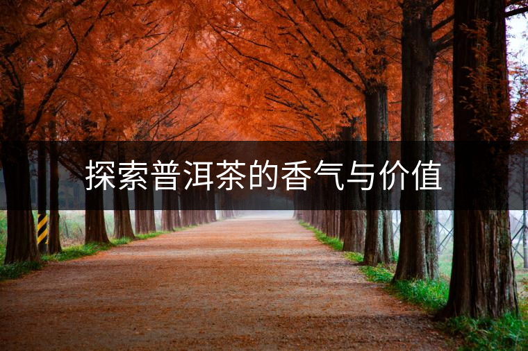 探索普洱茶的香氣與價值 探索普洱茶的香氣與價值