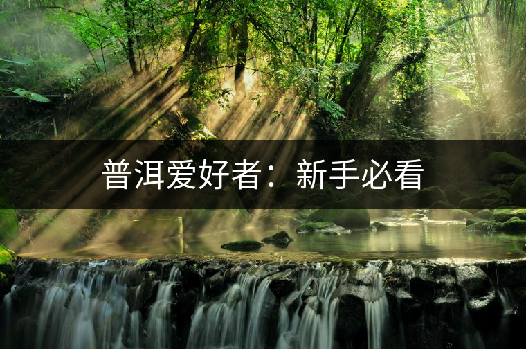 普洱愛(ài)好者:新手必看 普洱愛(ài)好者:新手必看