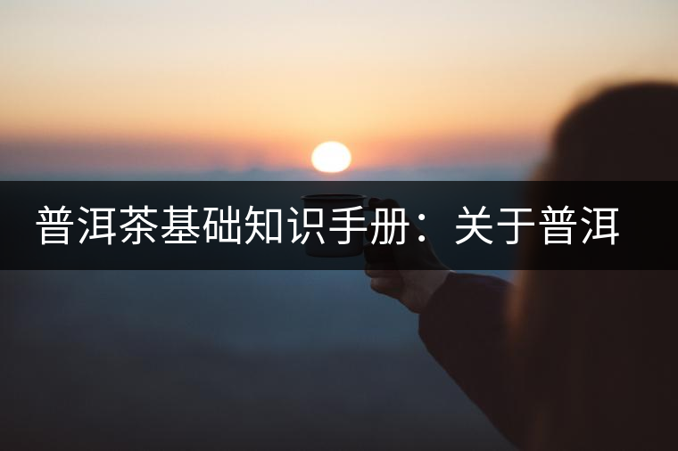 普洱茶基礎知識手冊：關于普洱茶的“六辨”