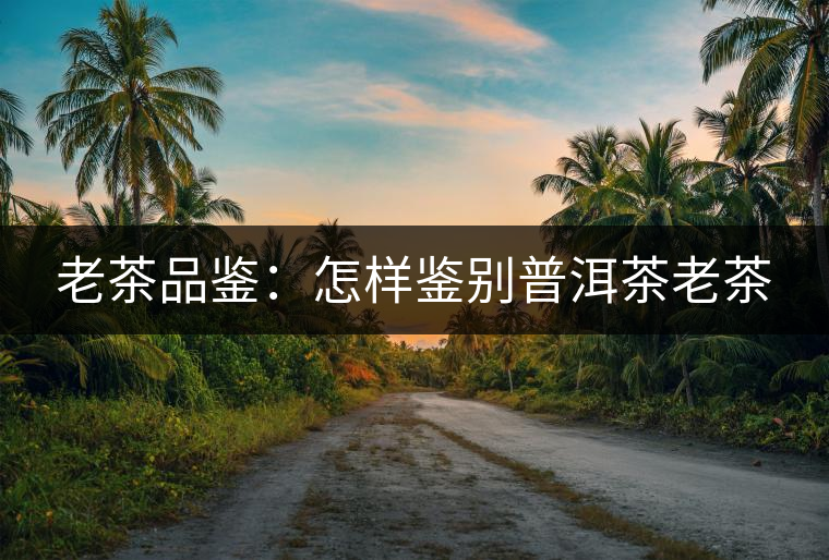 老茶品鑒:怎樣鑒別普洱茶老茶 老茶品鑒:怎樣鑒別普洱茶老茶