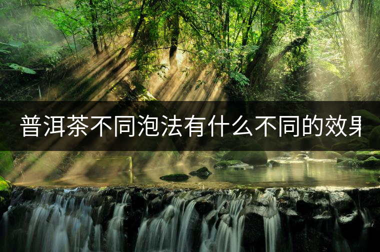 普洱茶不同泡法有什么不同的效果？