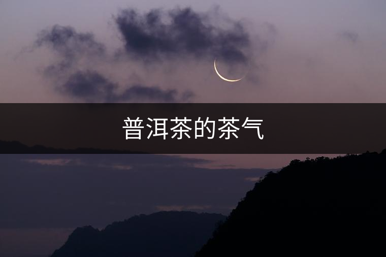 普洱茶的茶氣 普洱茶的茶氣