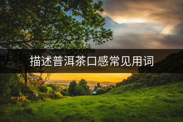 描述普洱茶口感常見(jiàn)用詞 描述普洱茶口感常見(jiàn)用詞