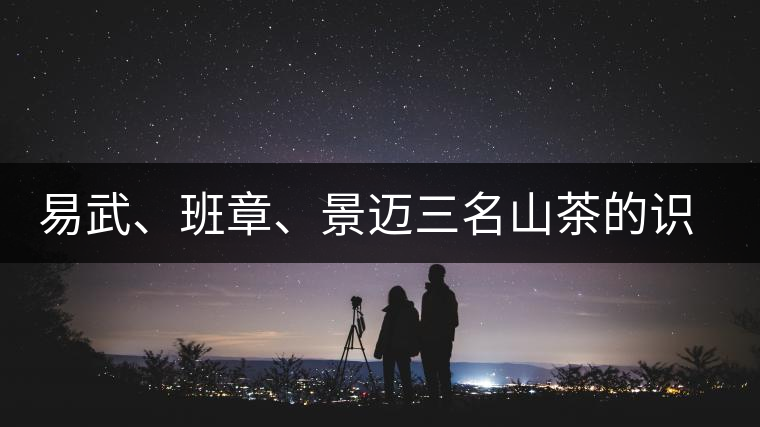 易武、班章、景邁三名山茶的識別