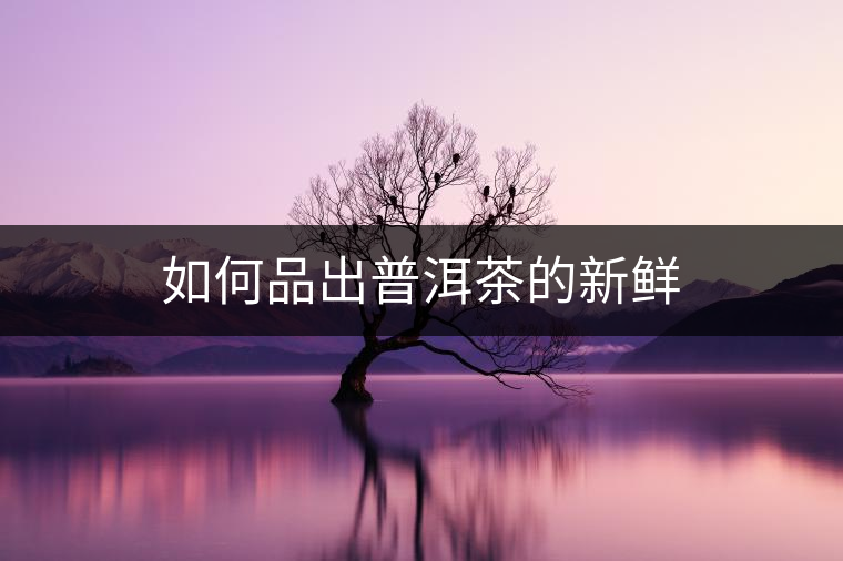 如何品出普洱茶的新鮮 如何品出普洱茶的新鮮