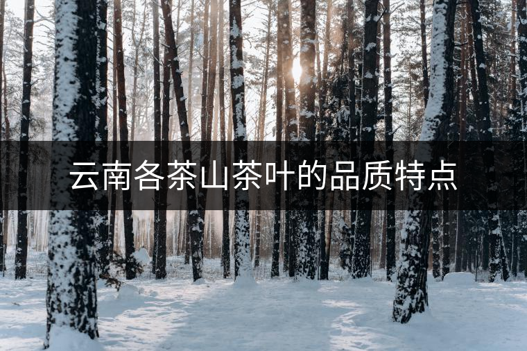 云南各茶山茶葉的品質(zhì)特點(diǎn)