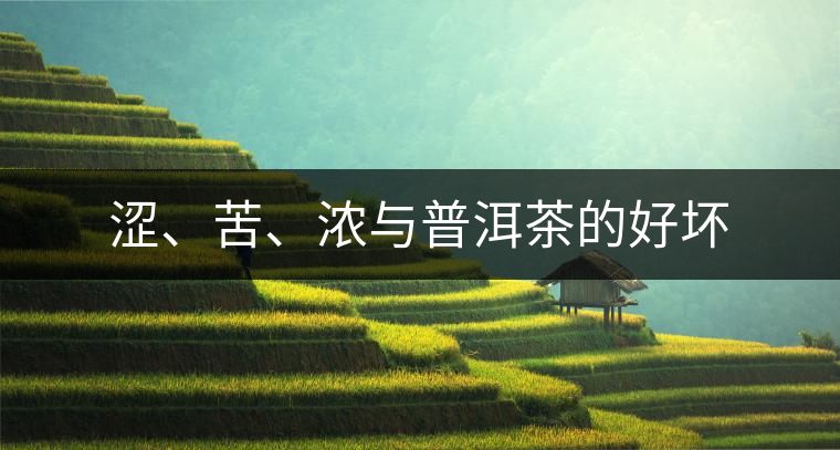 澀、苦、濃與普洱茶的好壞