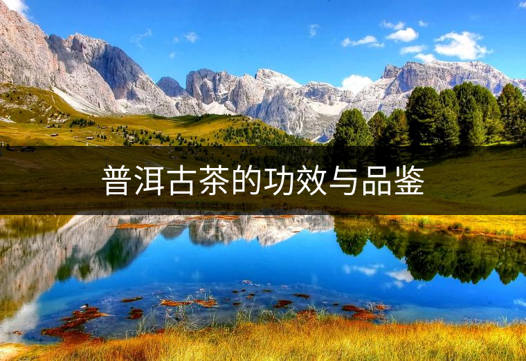 普洱古茶的功效與品鑒 普洱古茶的功效與品鑒